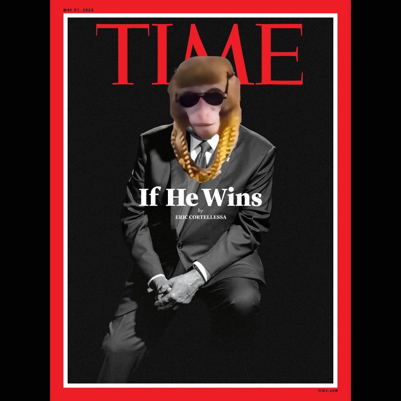 Swag Monkey Meme 14