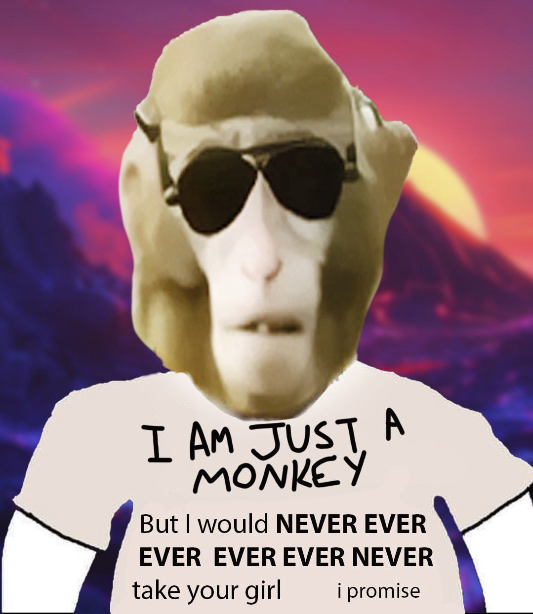 Swag Monkey Meme 17