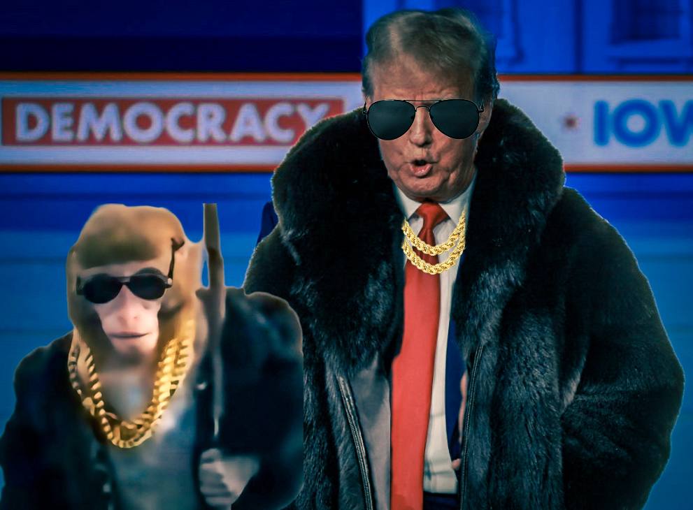Swag Monkey Meme 2